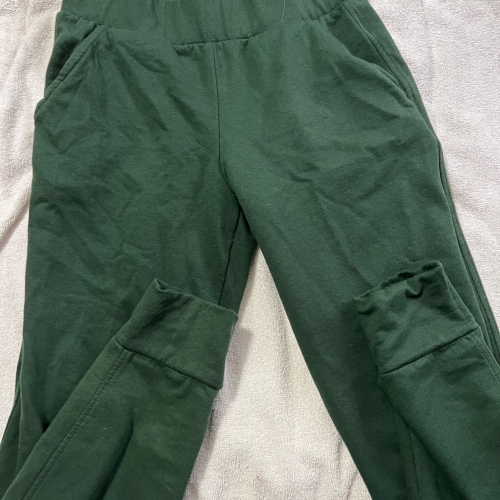 Energie emeral green sweatpants 
Brand new (No tags)
XS